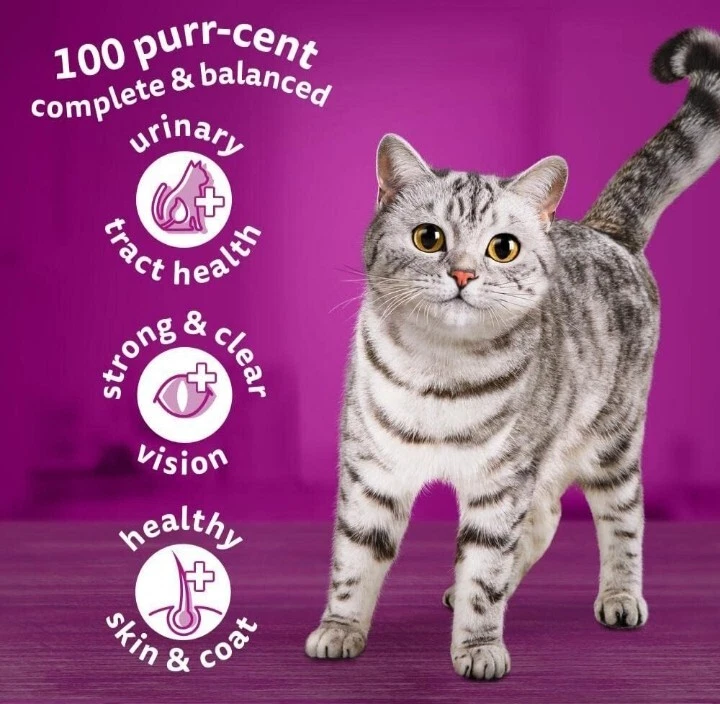 Whiskas 1+ Cat Food Complete Dry With Chicken 1.9kg